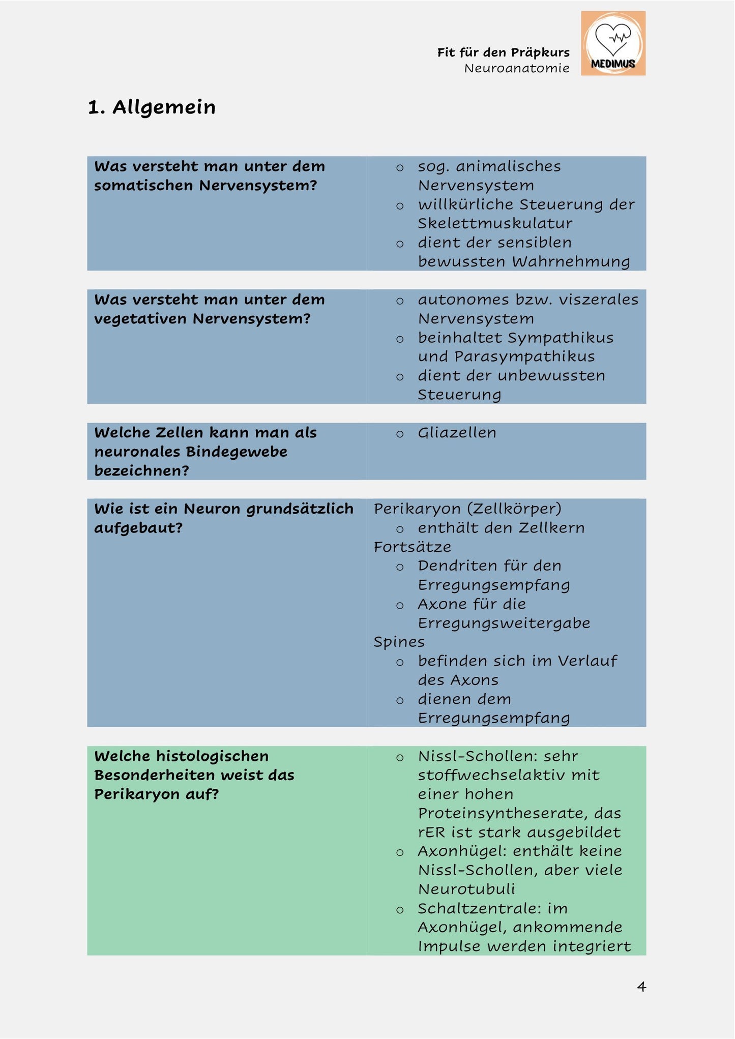 Fit für den Präpkurs - Neuroanatomie