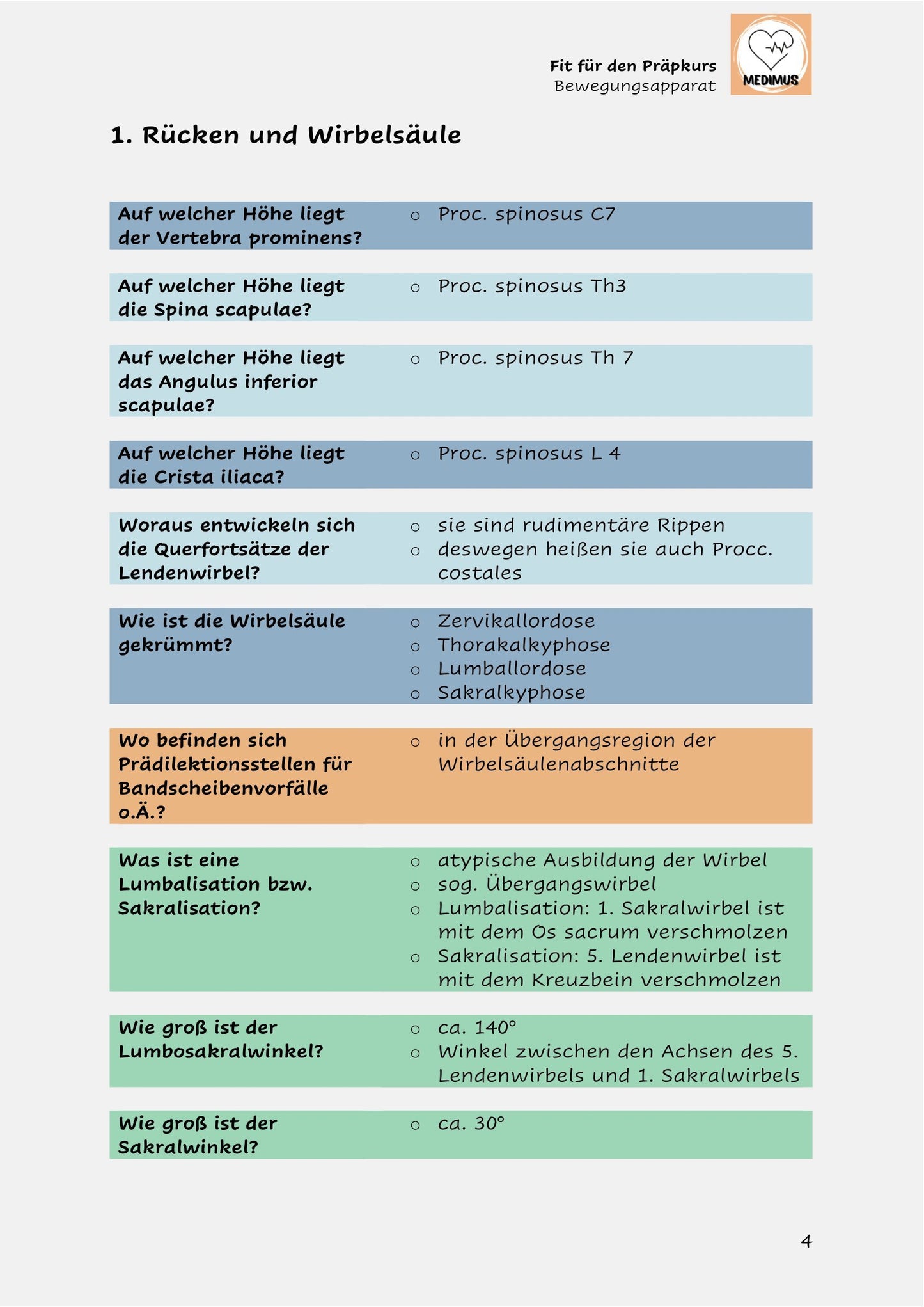 Fit für den Präpkurs - Bewegungsapparat