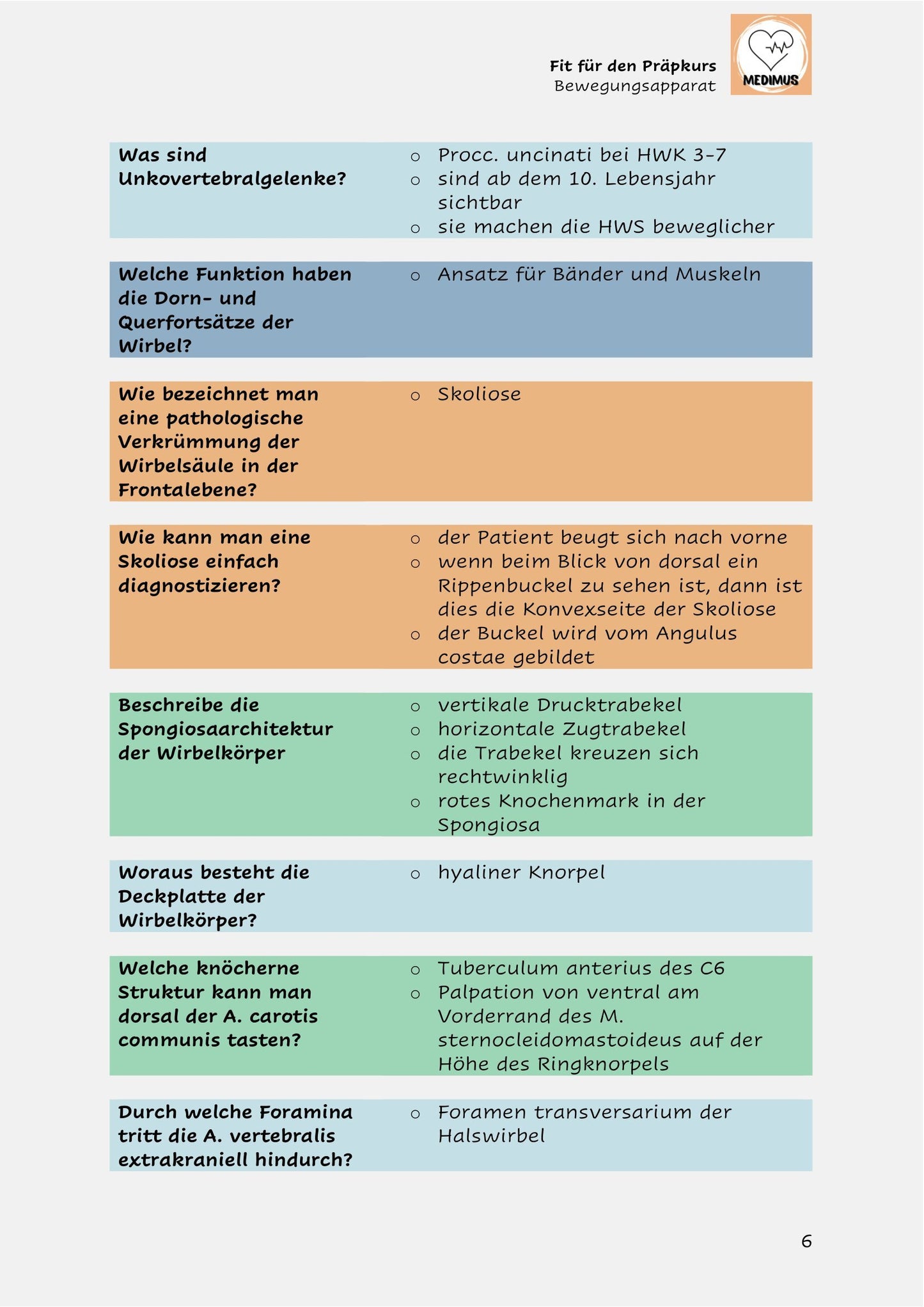 Fit für den Präpkurs - Bewegungsapparat