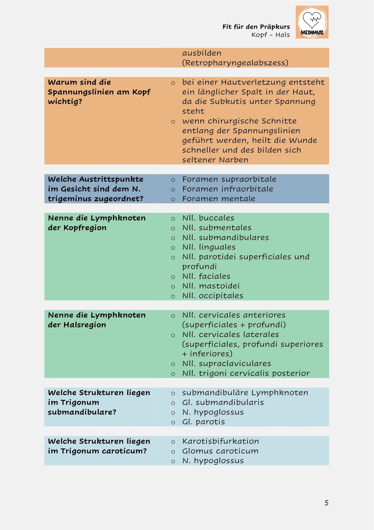 Fit für den Präpkurs - Kopf Hals