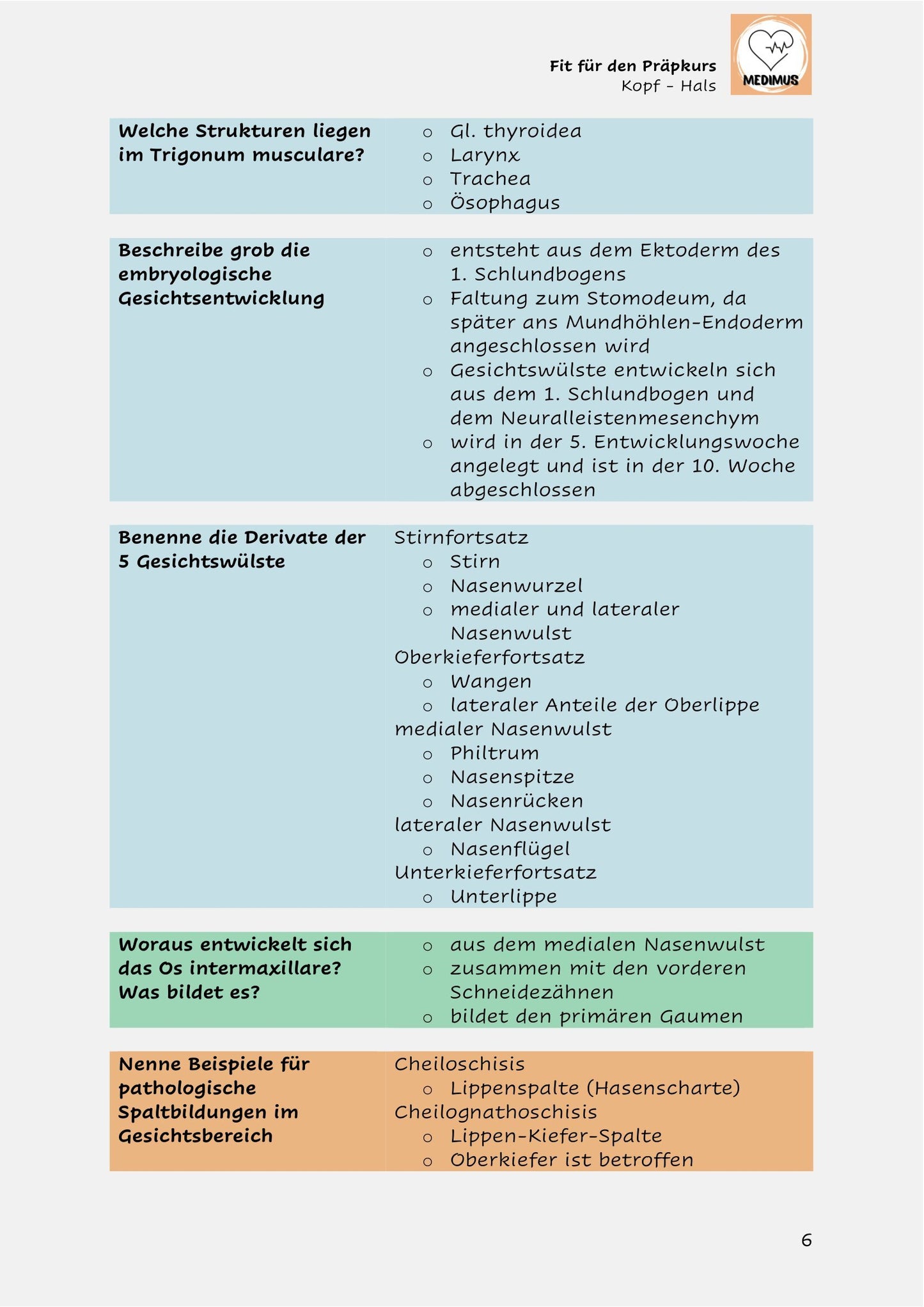 Fit für den Präpkurs - Kopf Hals