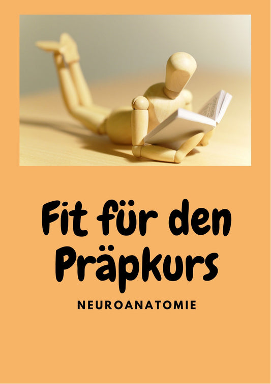 Fit für den Präpkurs - Neuroanatomie