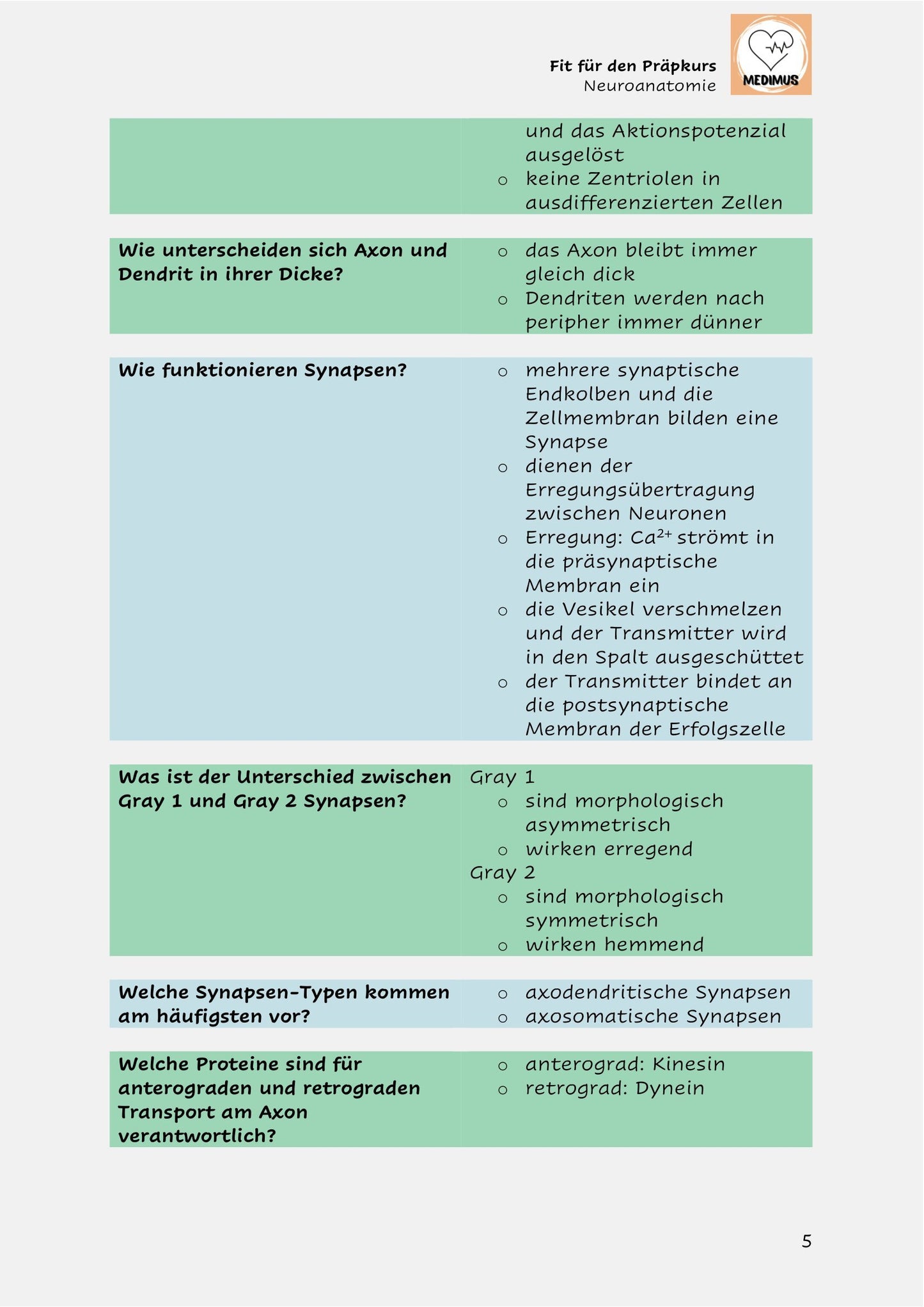 Fit für den Präpkurs - Neuroanatomie