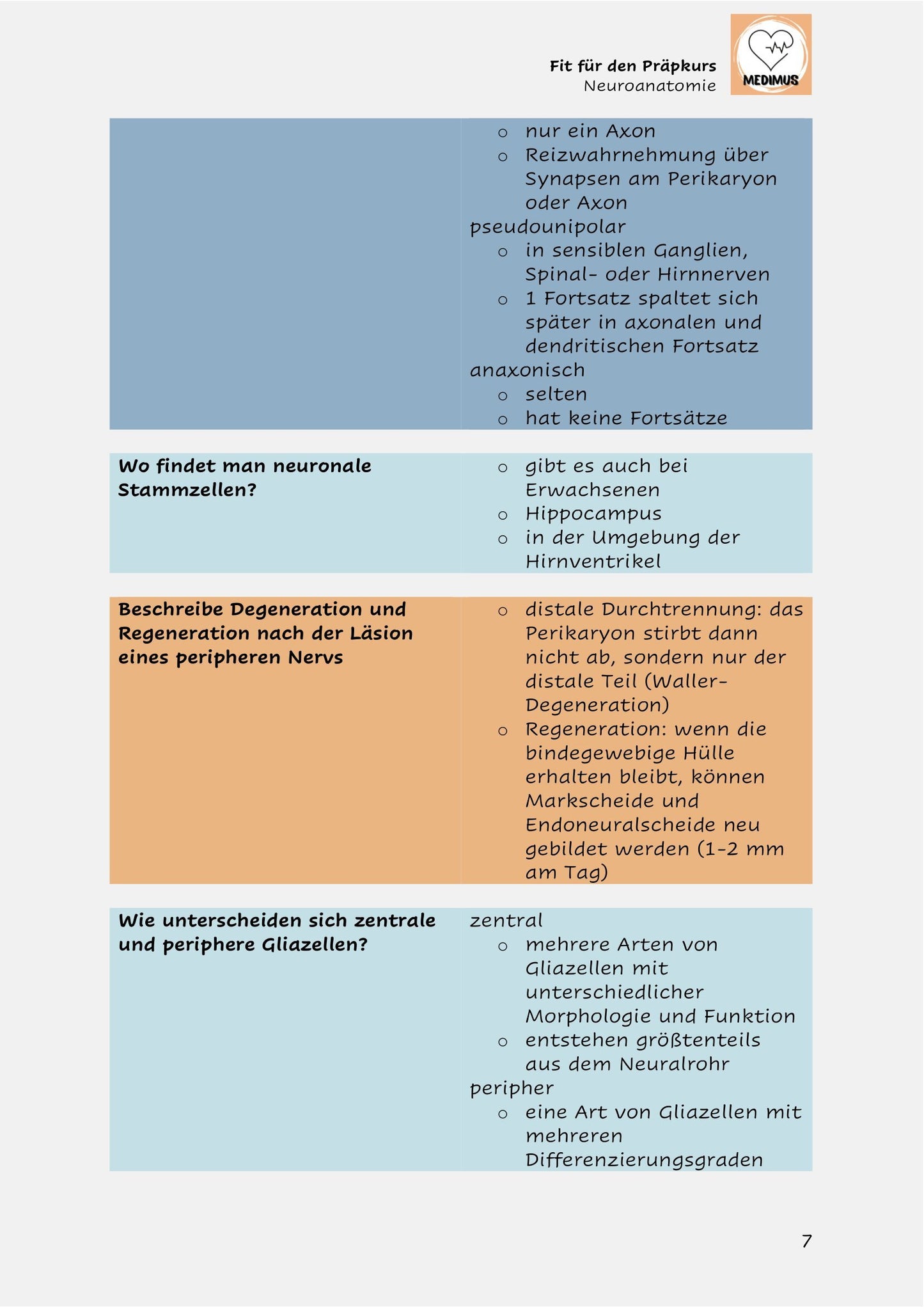 Fit für den Präpkurs - Neuroanatomie