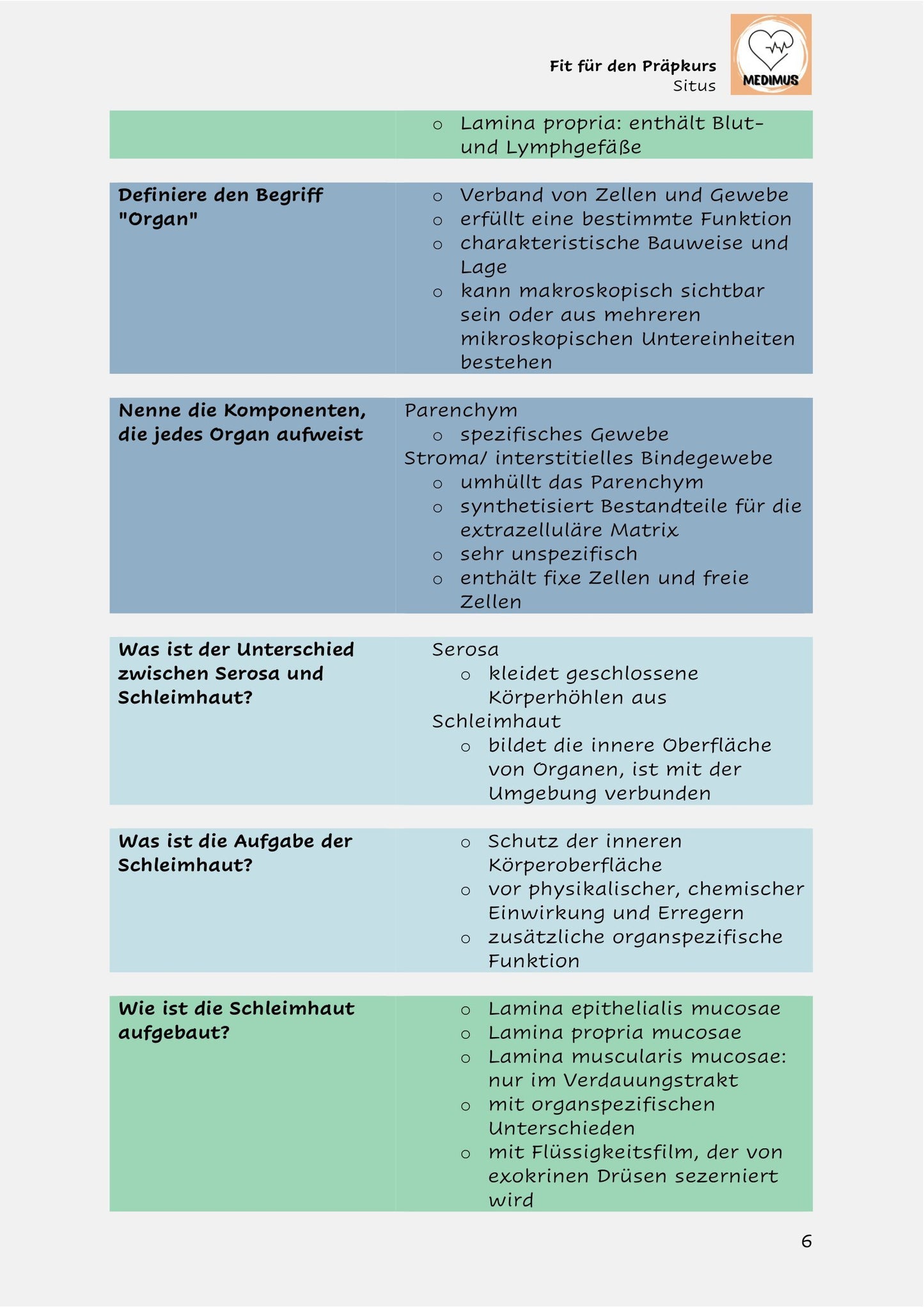 Fit für den Präpkurs - Situs